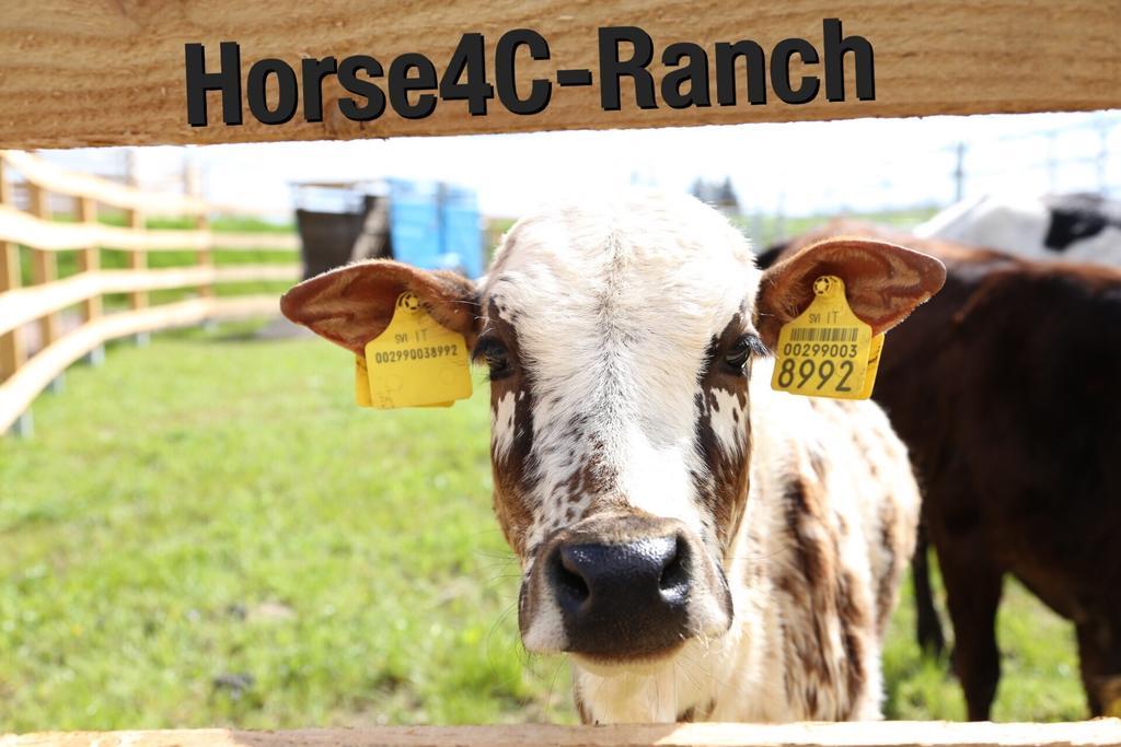 Hainichen 4C Horse Ranch酒店 外观 照片
